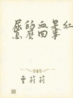 尿的血是红色的怎么回事