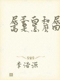 尿蛋白和尿细胞高是怎么回事