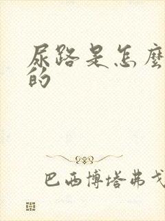 尿路是怎么感染的