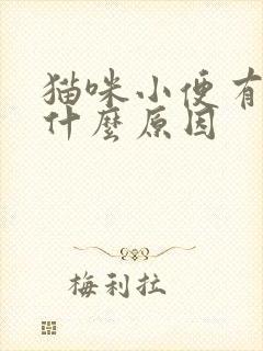 猫咪小便有血是什么原因