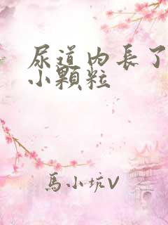 尿道内长了很多小颗粒