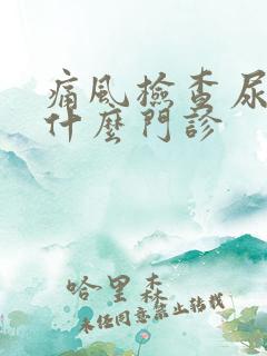 痛风检查尿酸挂什么门诊