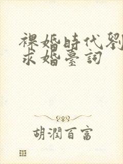 裸婚时代刘易阳求婚台词