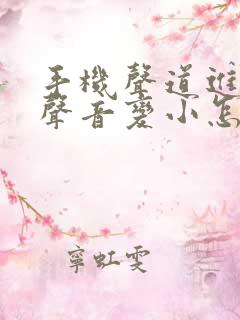 手机声道进水了声音变小怎么办