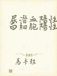 尿潜血阳性,尿白细胞阳性