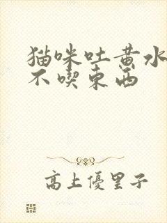 猫咪吐黄水三天不吃东西