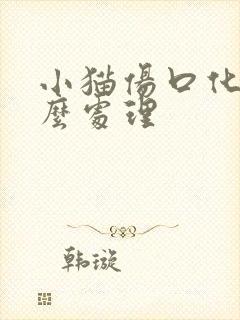 小猫伤口化脓怎么处理