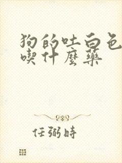 狗的吐白色粘液吃什么药