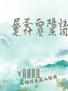 尿蛋白阳性1+是什么原因