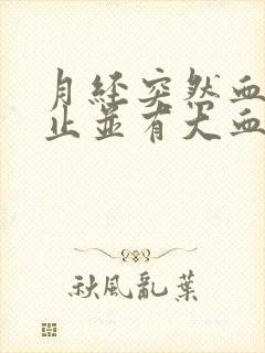 月经突然血流不止并有大血块