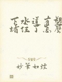 下水道有塑料袋堵住了怎么办