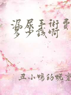 漏尿手术费用是多少钱啊