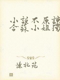 小说不原谅不复合苏小姐独美