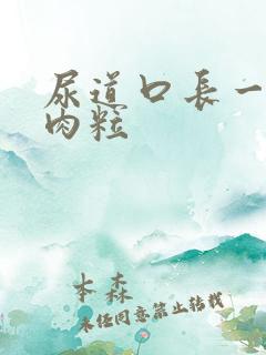 尿道口长一个小肉粒