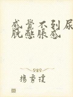 感觉不到尿意膀胱憋胀感