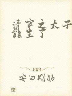 清穿之太子妃太能生了