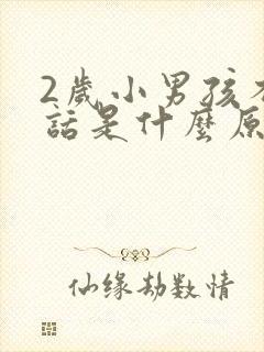 2岁小男孩不说话是什么原因