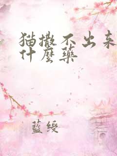 猫撒不出来尿吃什么药