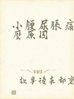 小腹尿胀痛是什么原因