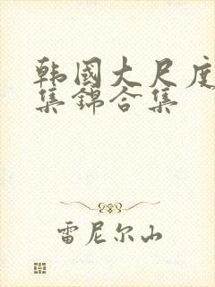 韩国大尺度床戏集锦合集