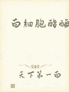 白细胞酯酶三加