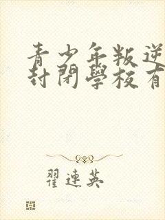 青少年叛逆正规封闭学校有效果吗