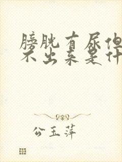 膀胱有尿但是尿不出来是什么原因