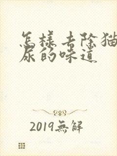 怎样去除猫尿狗尿的味道