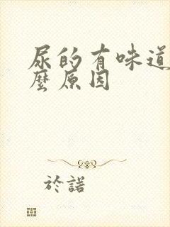 尿的有味道是什么原因