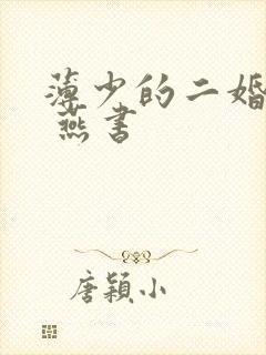 薄少的二婚罪妻 燕书