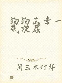 狗狗正常一天排几次尿