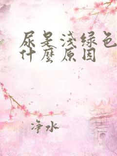 尿是浅绿色的是什么原因