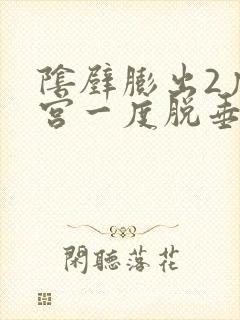 阴壁膨出2度子宫一度脱垂