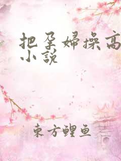 把孕妇操高潮了小说