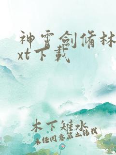 神霄剑修林枫txt下载