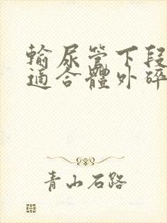 输尿管下段结石适合体外碎石吗