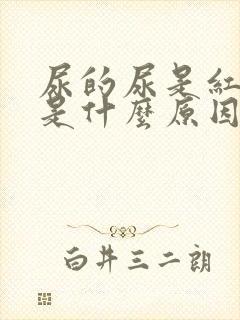 尿的尿是红色的是什么原因