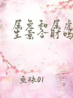 属兔和属虎的做生意合财吗