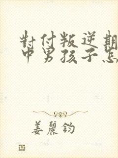 对付叛逆期的初中男孩子怎么办