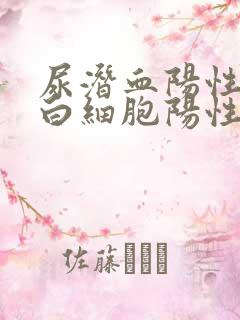 尿潜血阳性,尿白细胞阳性是咋回事