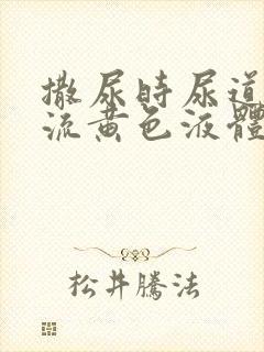 撒尿时尿道刺痛流黄色液体