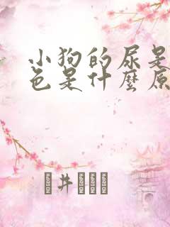 小狗的尿是深褐色是什么原因