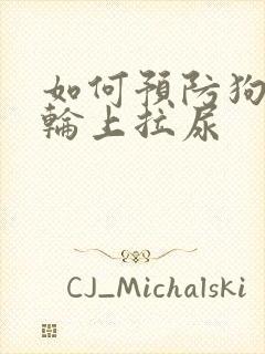 如何预防狗在车轮上拉尿