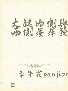 大腿内侧与阴囊两侧瘙痒发白怎么回事