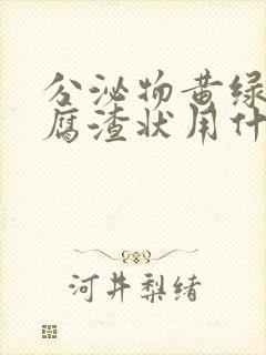 分泌物黄绿色豆腐渣状用什么药