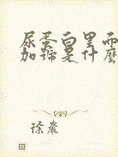 尿蛋白里面有俩加号是什么意思