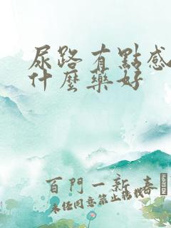 尿路有点感染吃什么药好