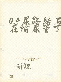 0.4尿路结石在输尿管下段