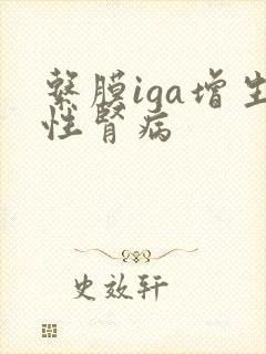 系膜iga增生性肾病