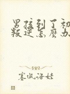 男孩到了初中很叛逆怎么办